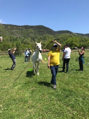 Coaching con Caballos en La Plana Gran