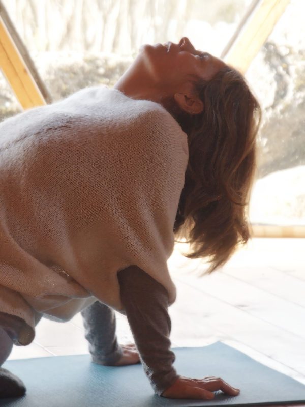 DSCF0027 Vallfogona yoga caballos 151125 finedit CCOste